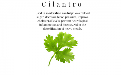 Therapeutic Benefits of Cilantro